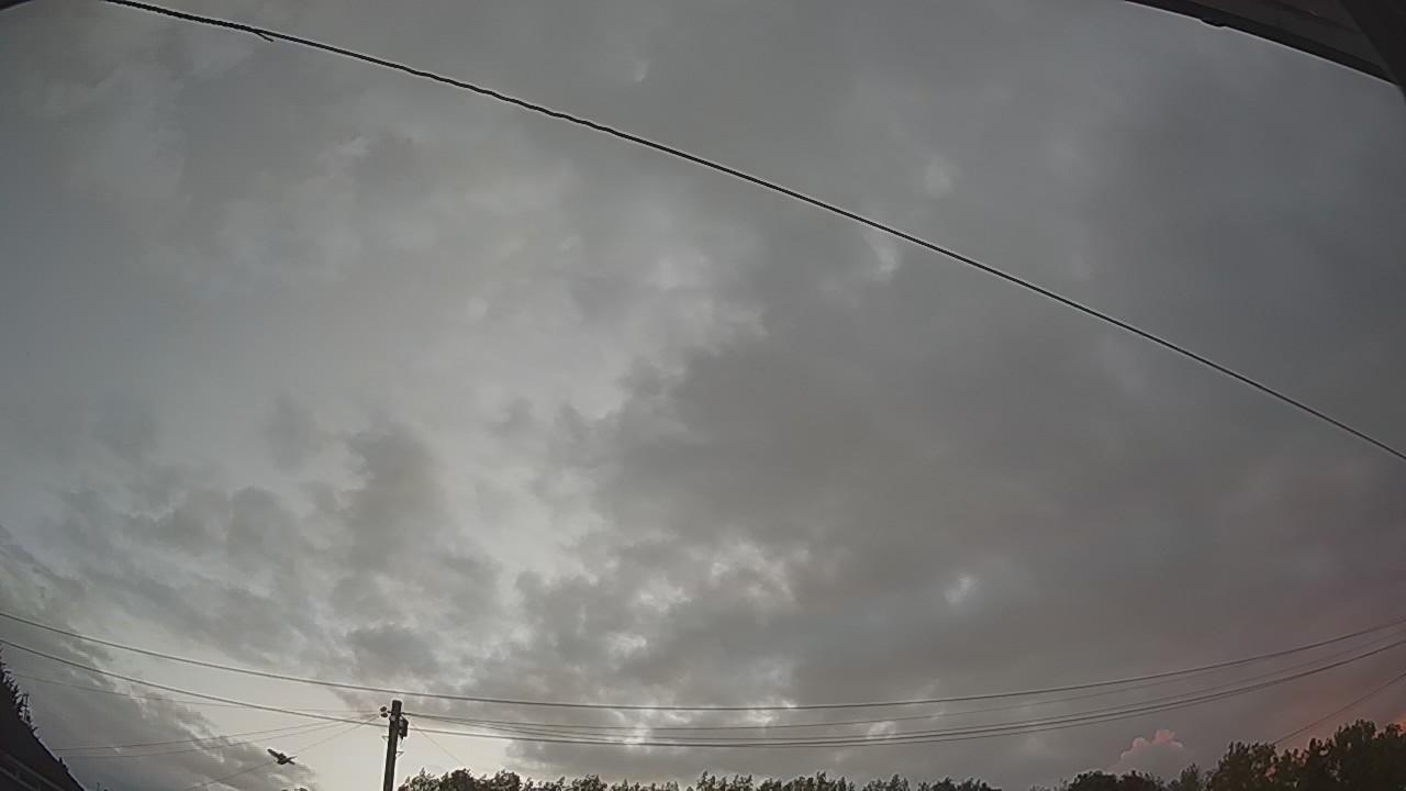 20260806_043238_cam2.jpg