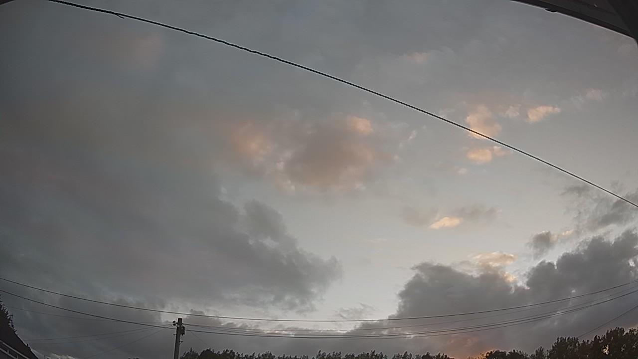20260806_044600_cam2.jpg