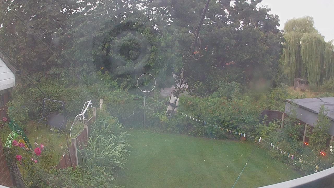 20260806_045026_cam1.jpg