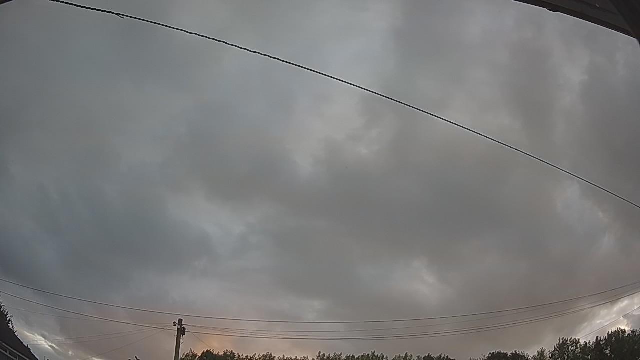 20260806_045455_cam2.jpg