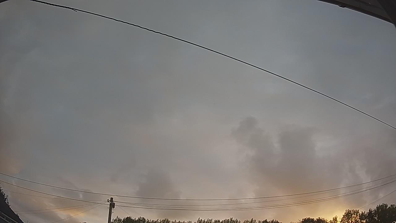 20260806_045922_cam2.jpg