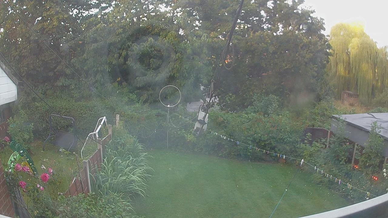 20260806_050816_cam1.jpg