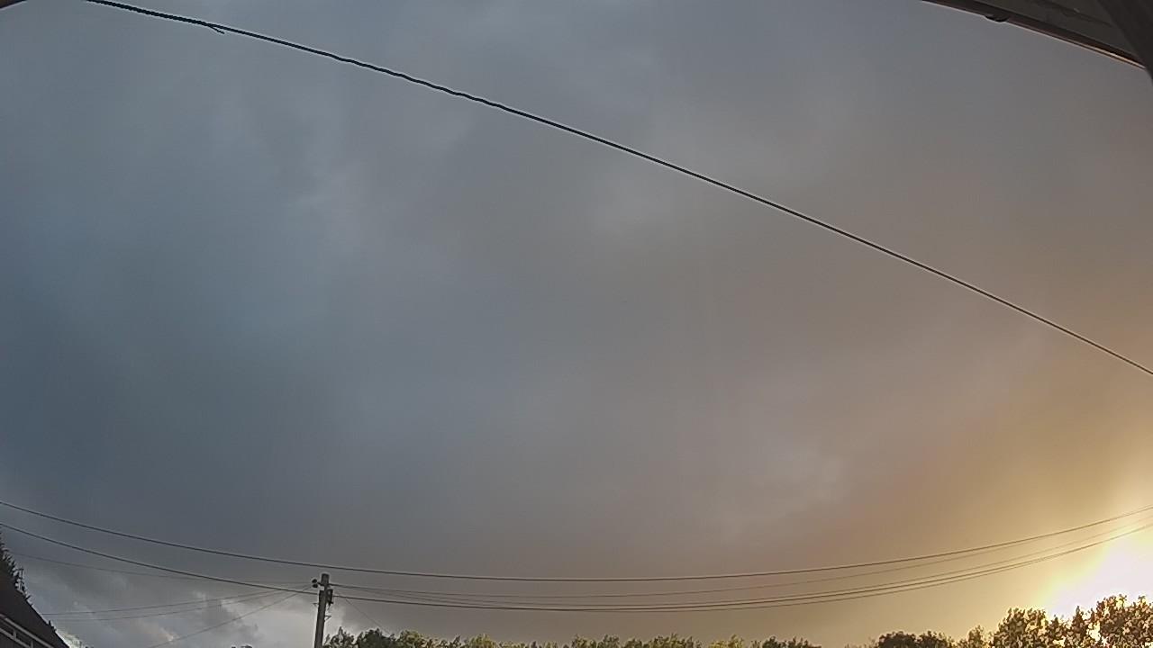 20260806_050817_cam2.jpg