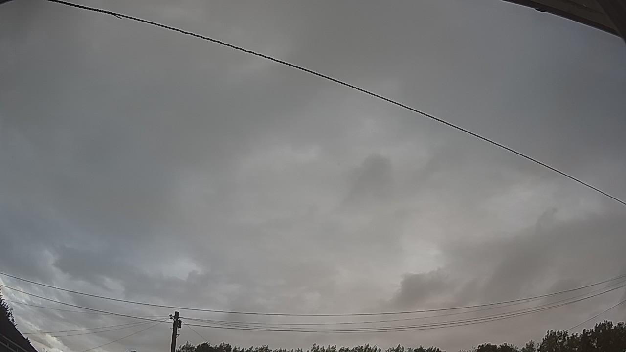 20260806_053043_cam2.jpg