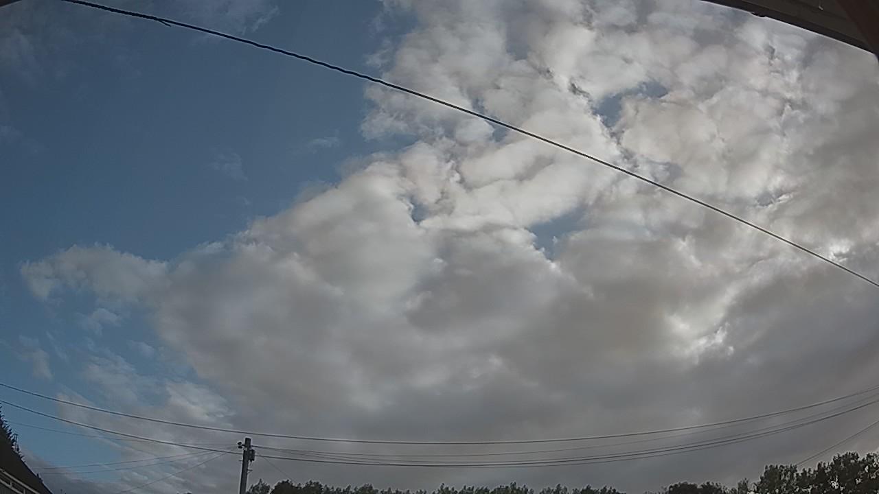20260806_061046_cam2.jpg