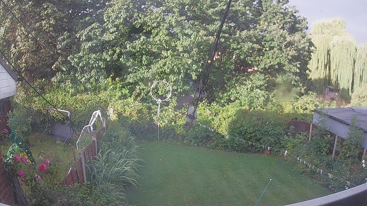 20260806_062722_cam1.jpg