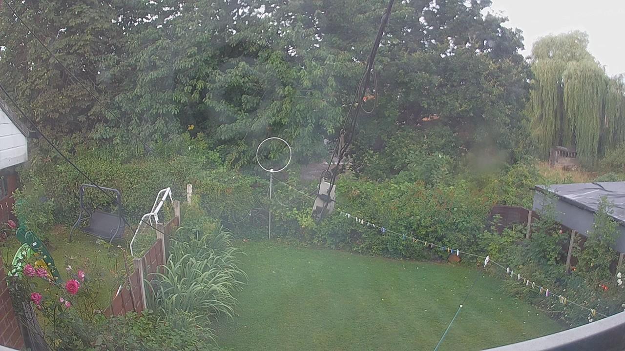 20260806_063855_cam1.jpg