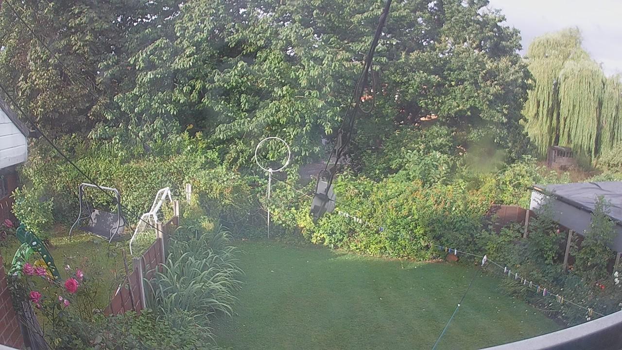 20260806_064638_cam1.jpg