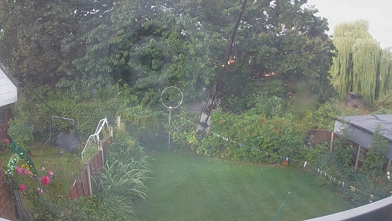 20260806_065030_cam1.jpg