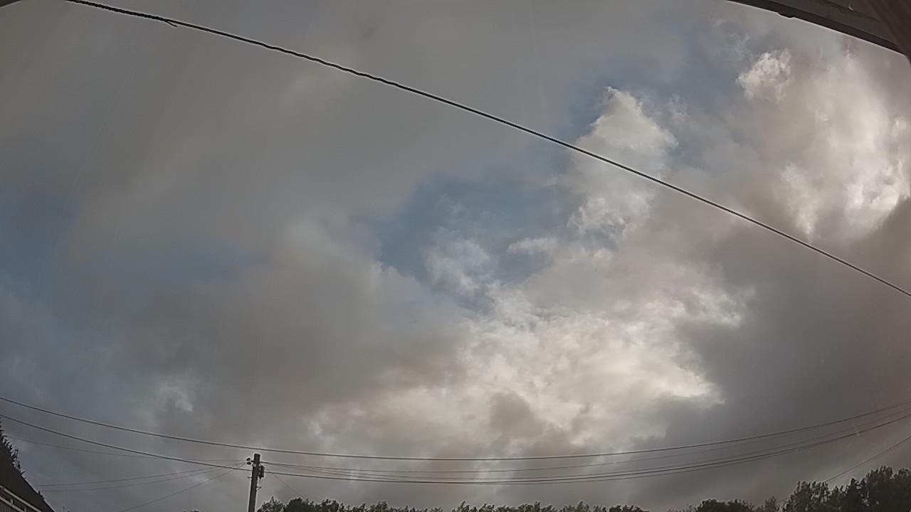 20260806_065031_cam2.jpg