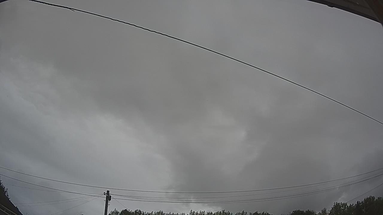20260806_074445_cam2.jpg