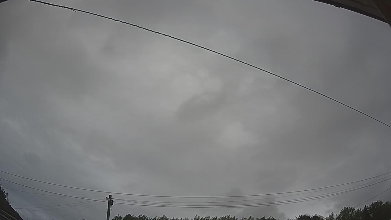 20260806_074809_cam2.jpg