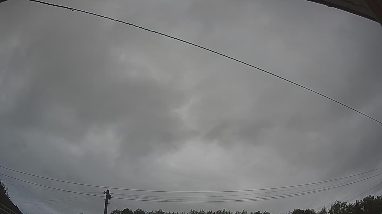 20260806_075134_cam2.jpg