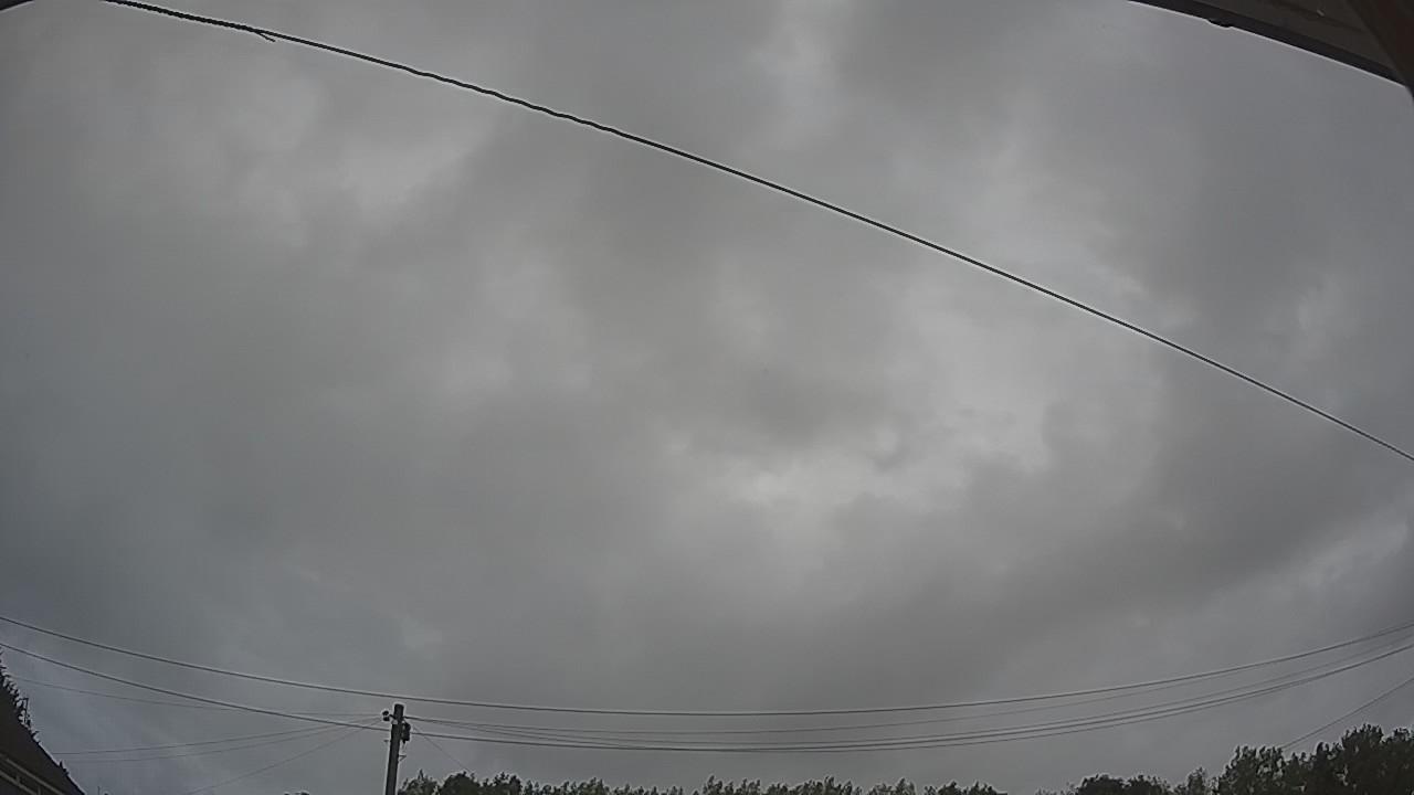 20260806_075458_cam2.jpg