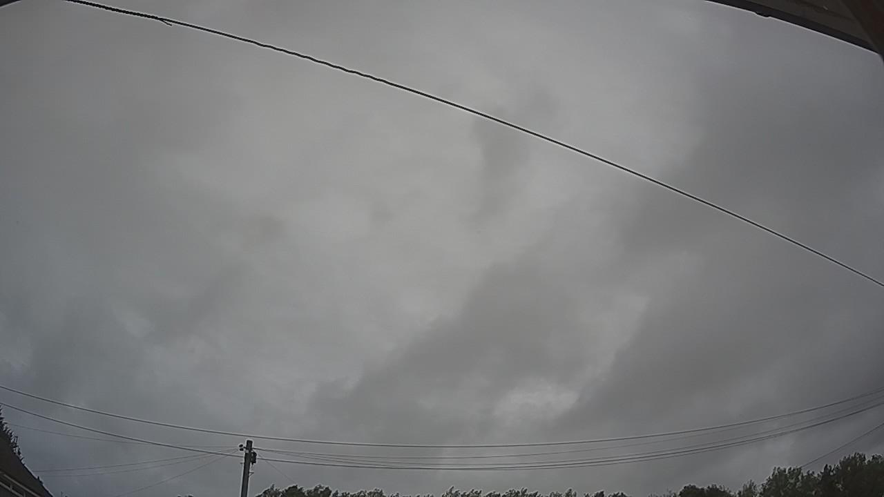 20260806_080223_cam2.jpg