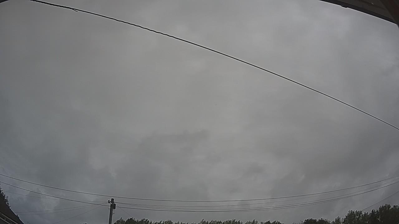 20260806_080605_cam2.jpg