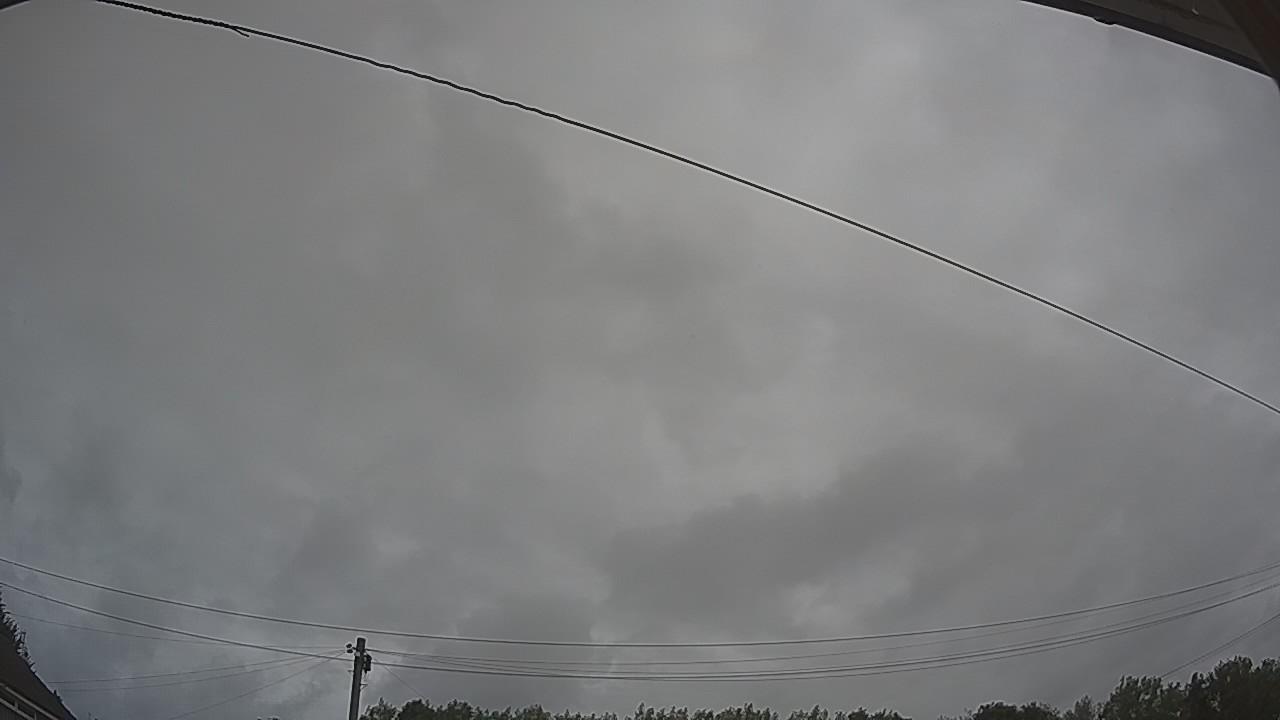 20260806_080947_cam2.jpg