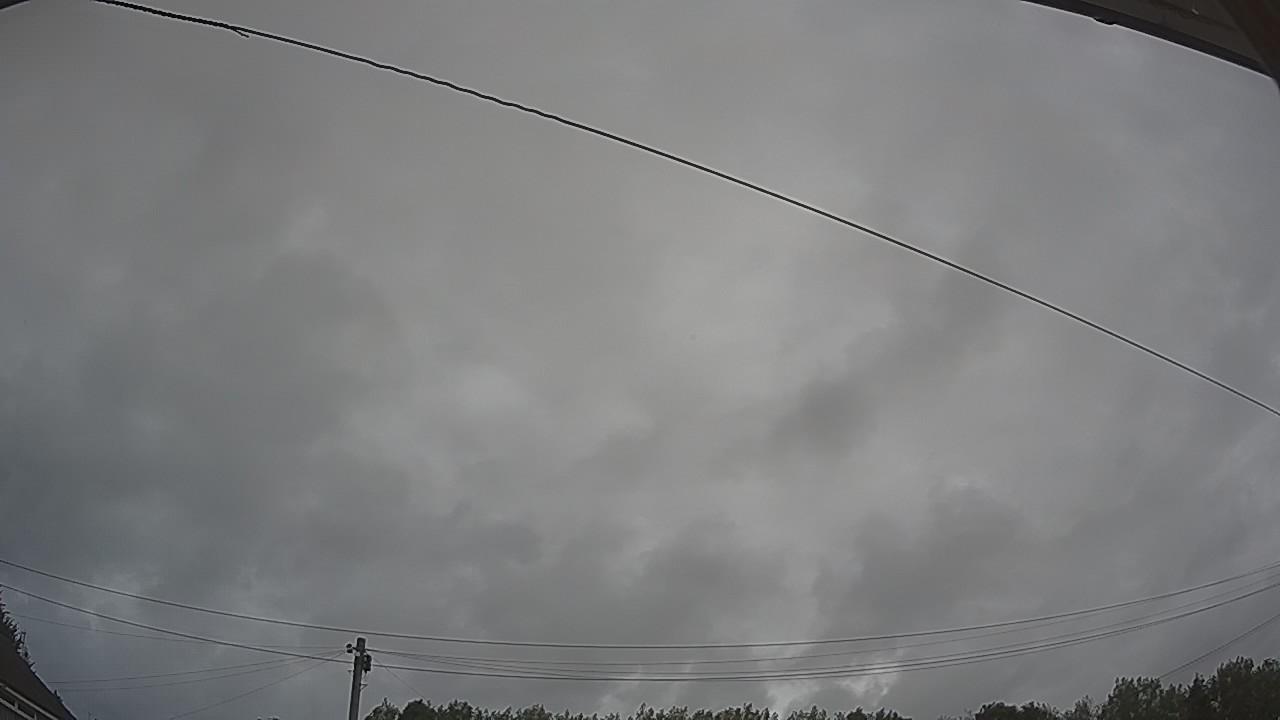 20260806_081329_cam2.jpg