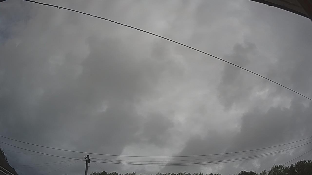 20260806_081711_cam2.jpg