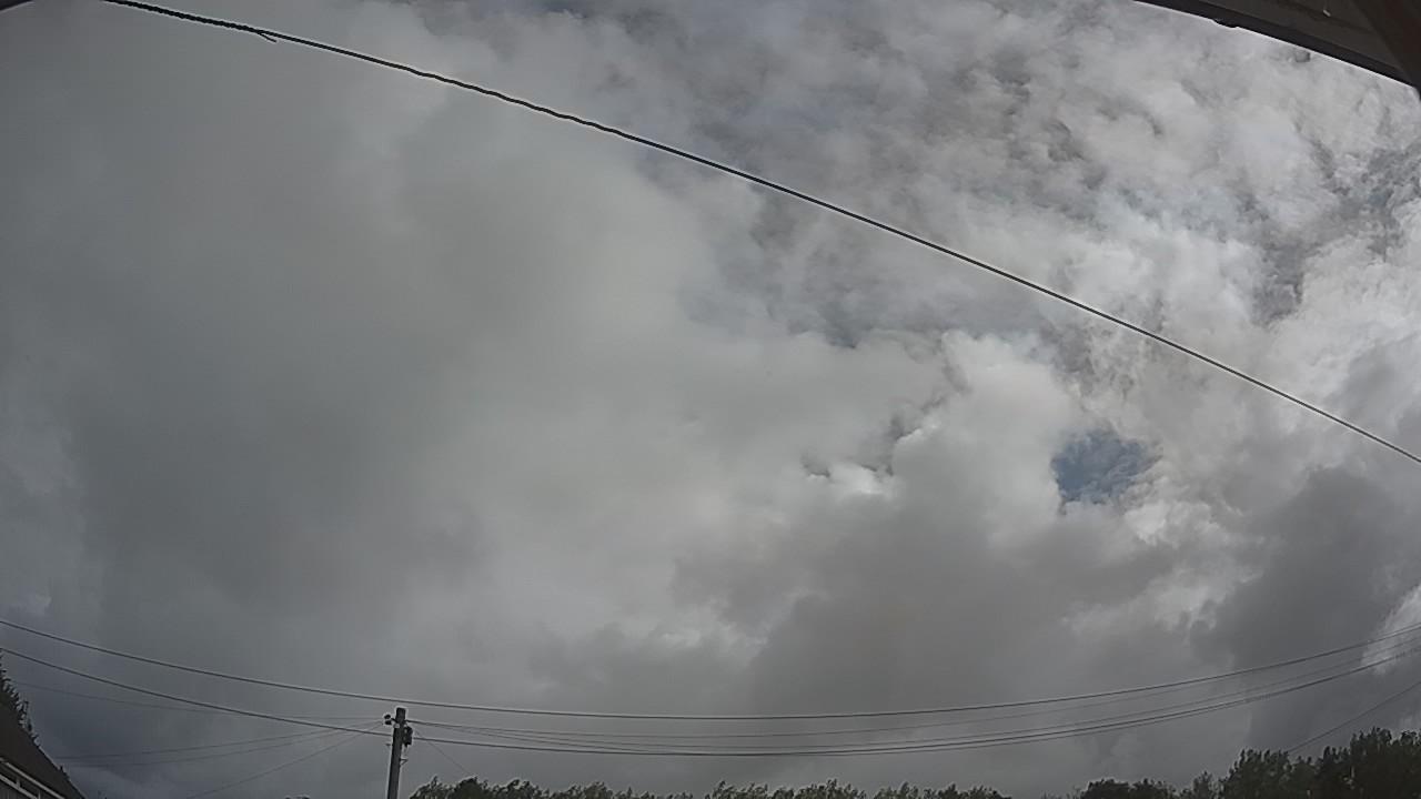 20260806_082434_cam2.jpg