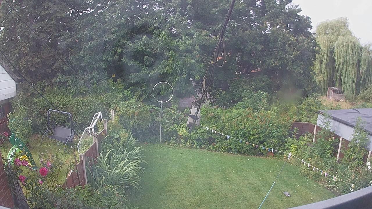 20260806_083138_cam1.jpg