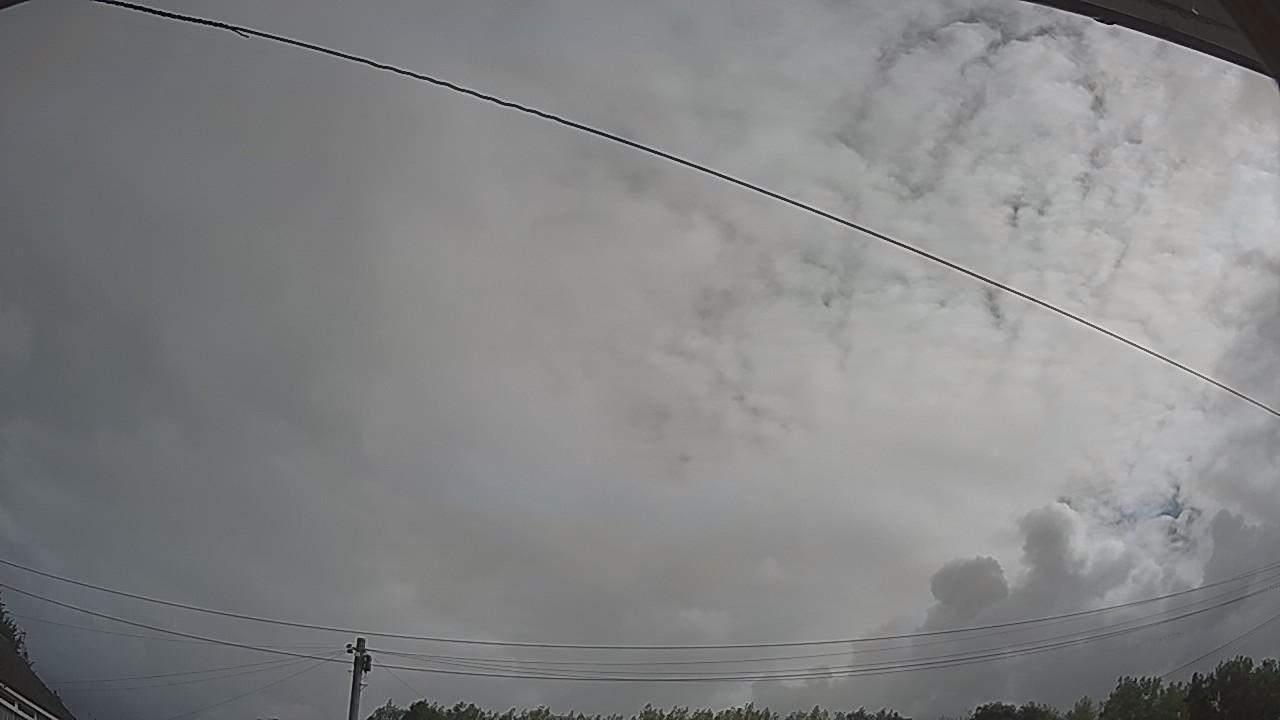 20260806_083139_cam2.jpg