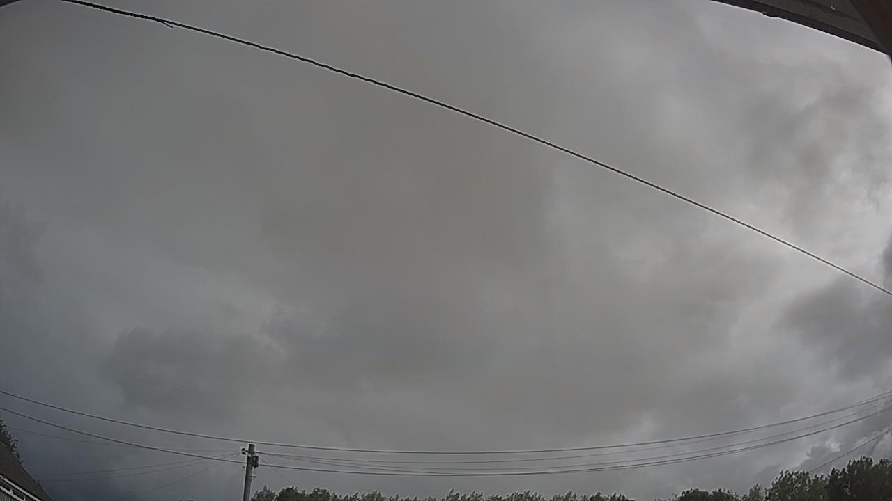 20260806_083503_cam2.jpg