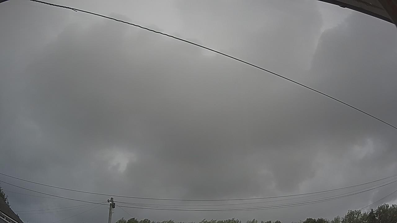 20260806_084514_cam2.jpg
