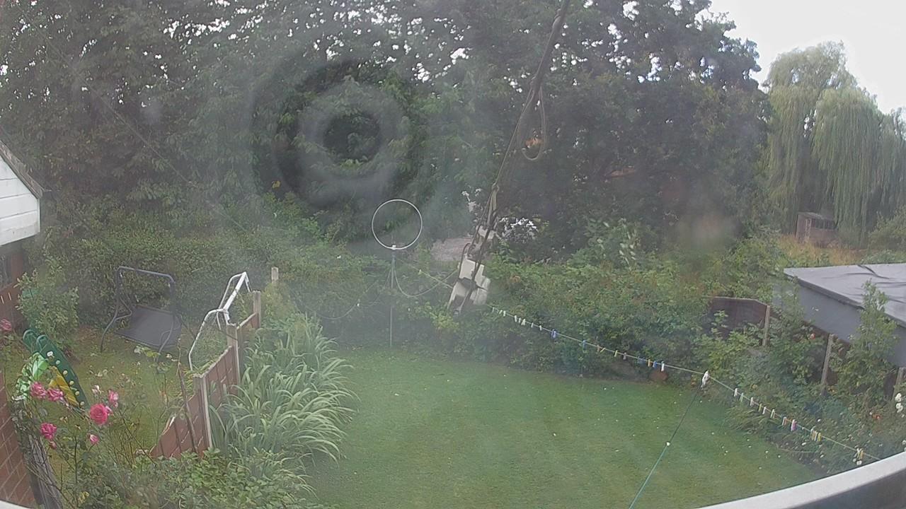 20260806_084837_cam1.jpg