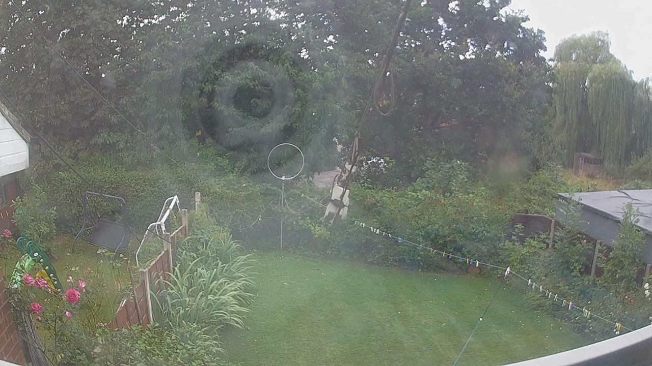 20260806_085200_cam1.jpg