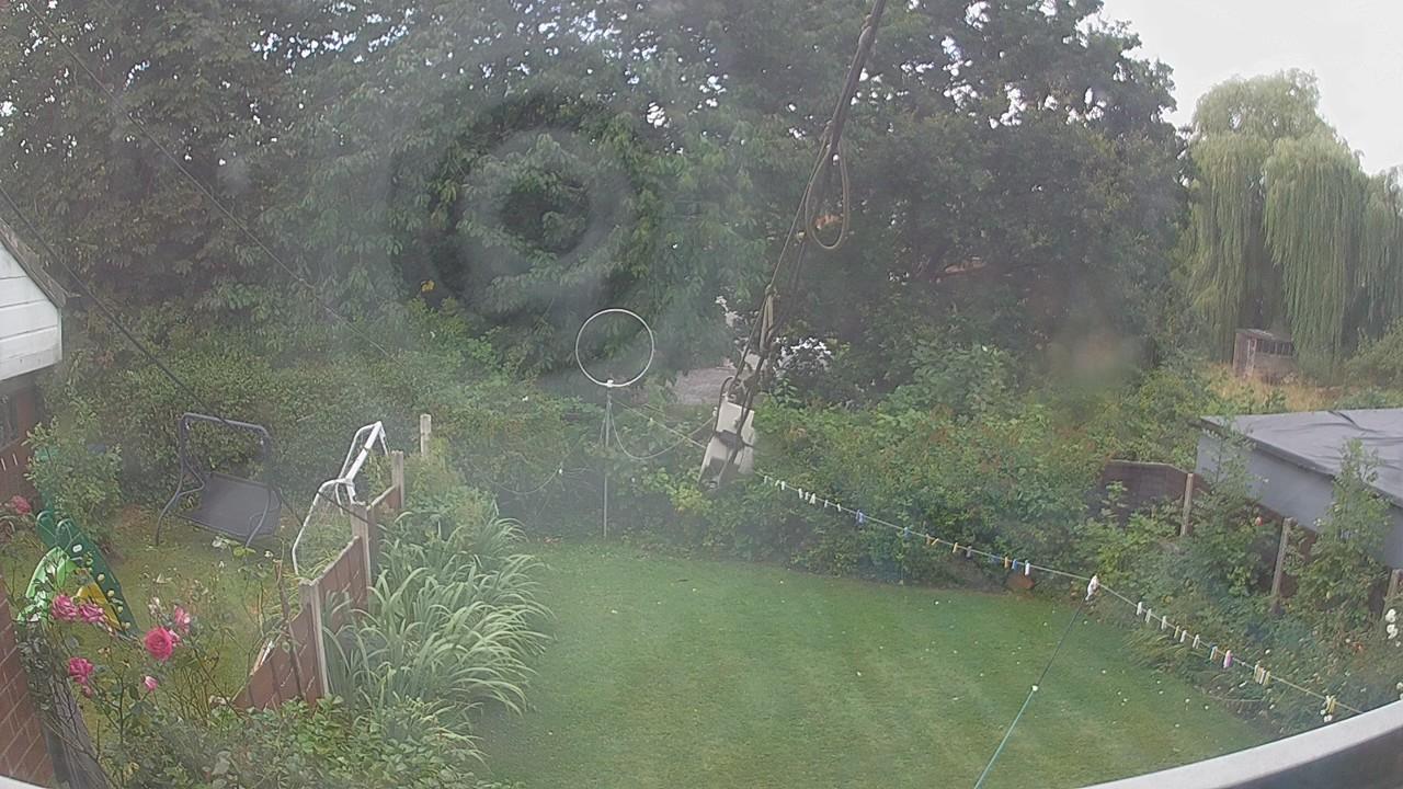 20260806_090213_cam1.jpg