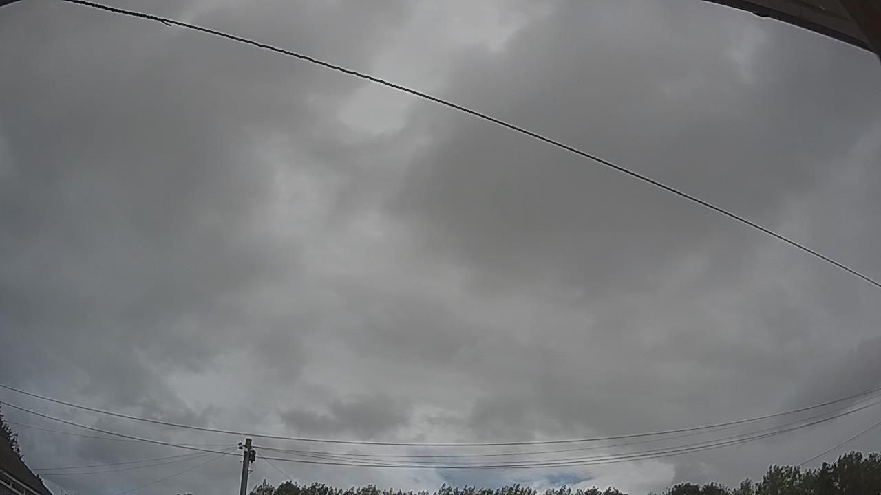 20260806_090214_cam2.jpg