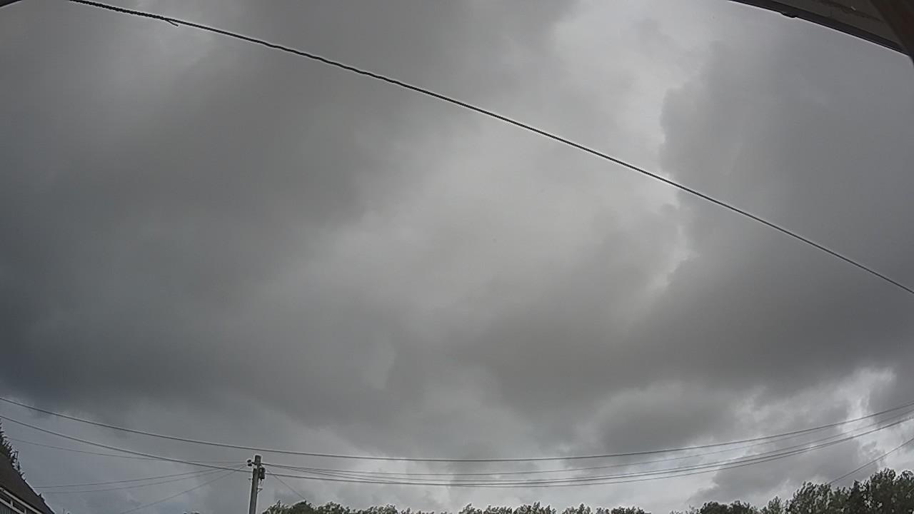 20260806_090902_cam2.jpg