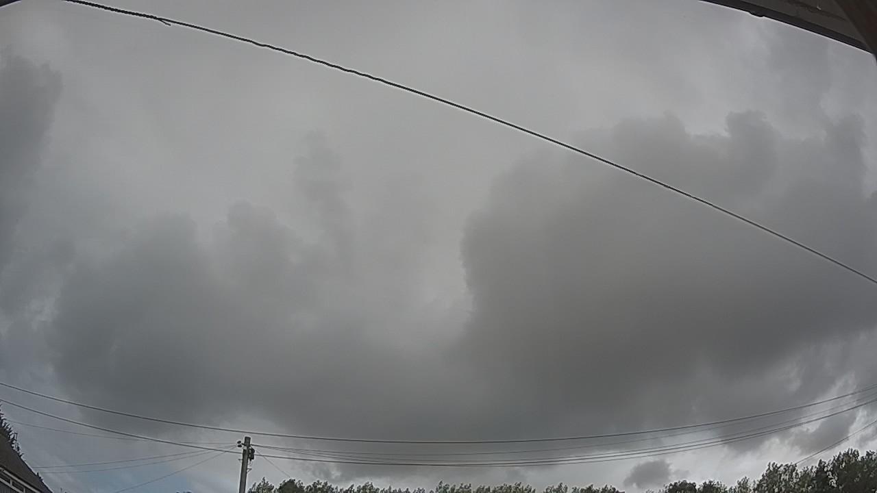 20260806_091225_cam2.jpg