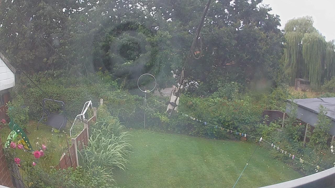 20260806_091548_cam1.jpg