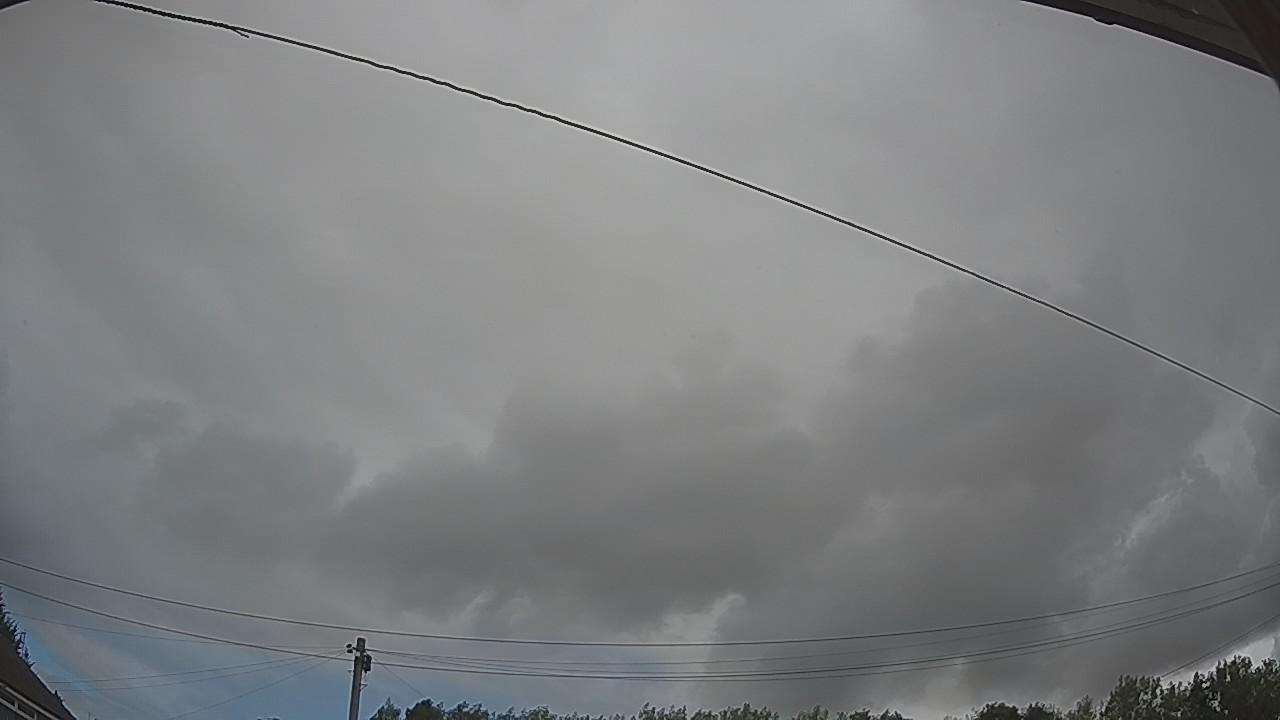 20260806_091549_cam2.jpg