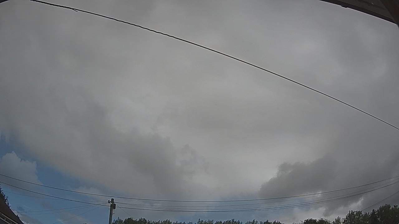 20260806_091913_cam2.jpg