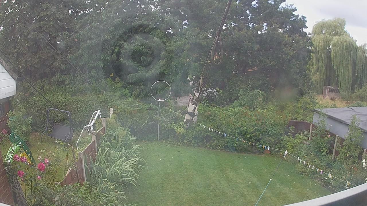 20260806_092237_cam1.jpg