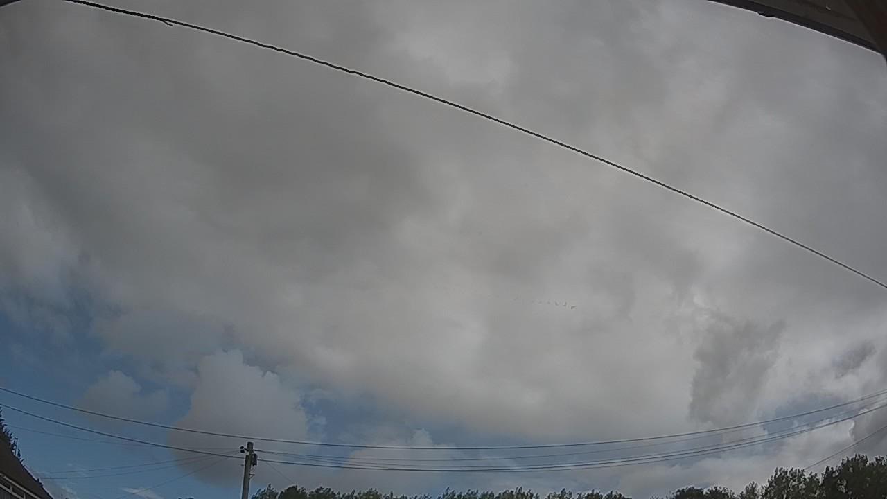 20260806_092238_cam2.jpg