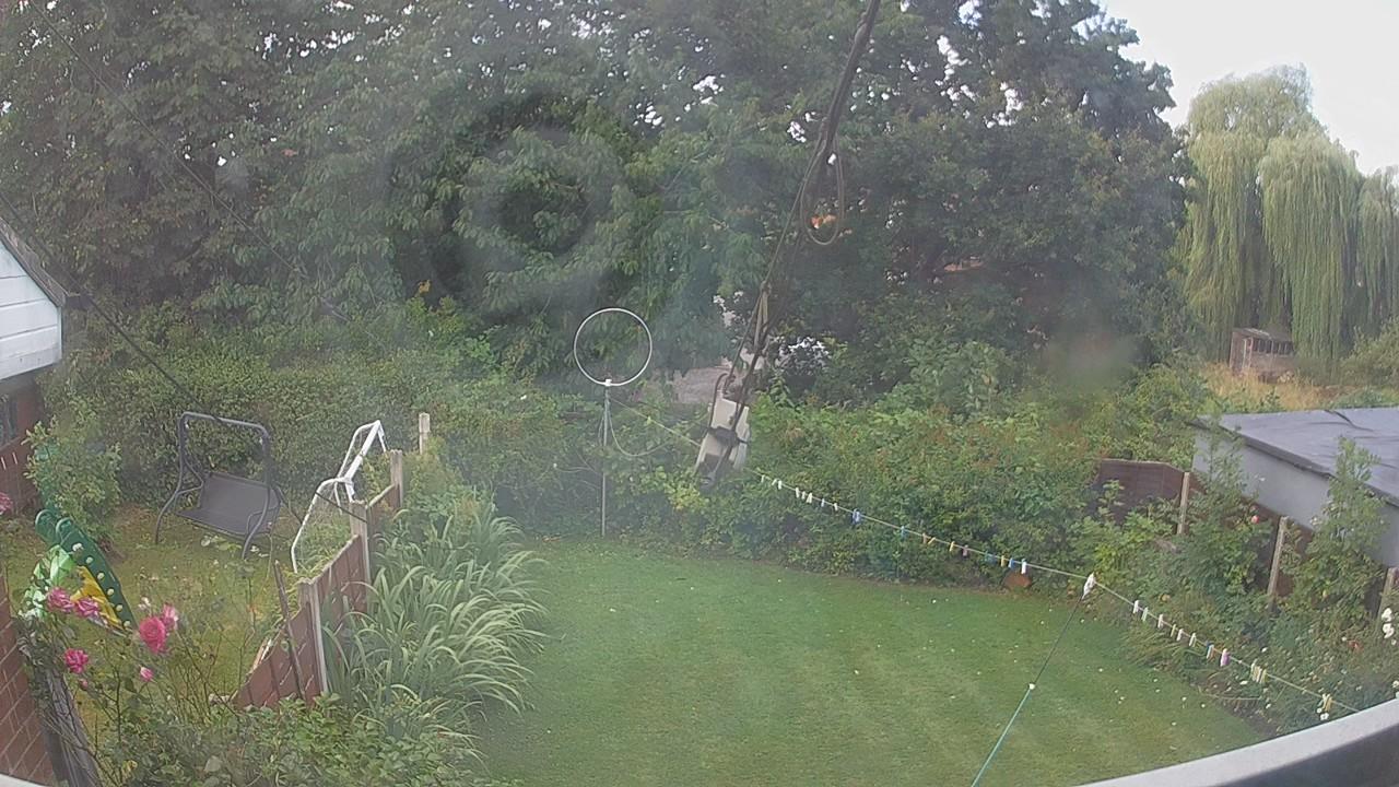 20260806_092602_cam1.jpg