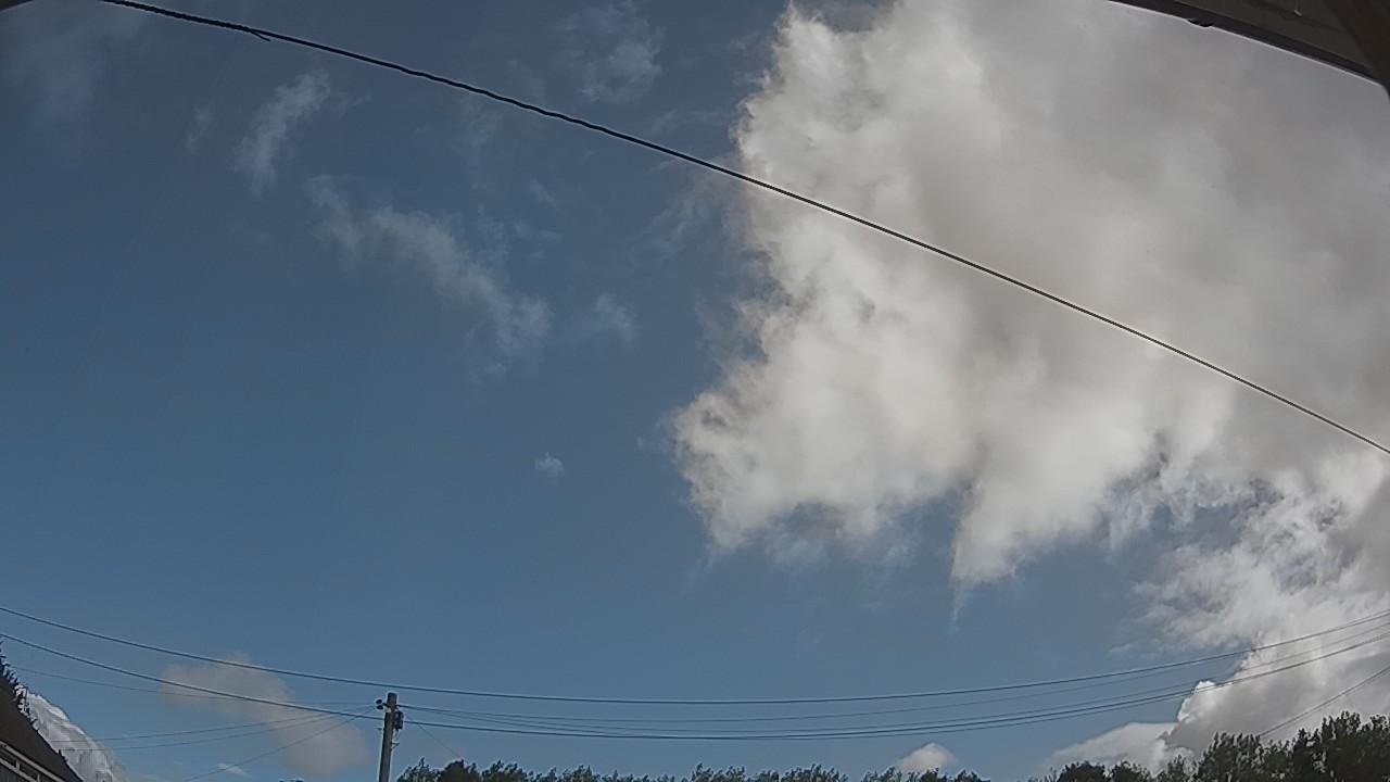 20260806_092928_cam2.jpg