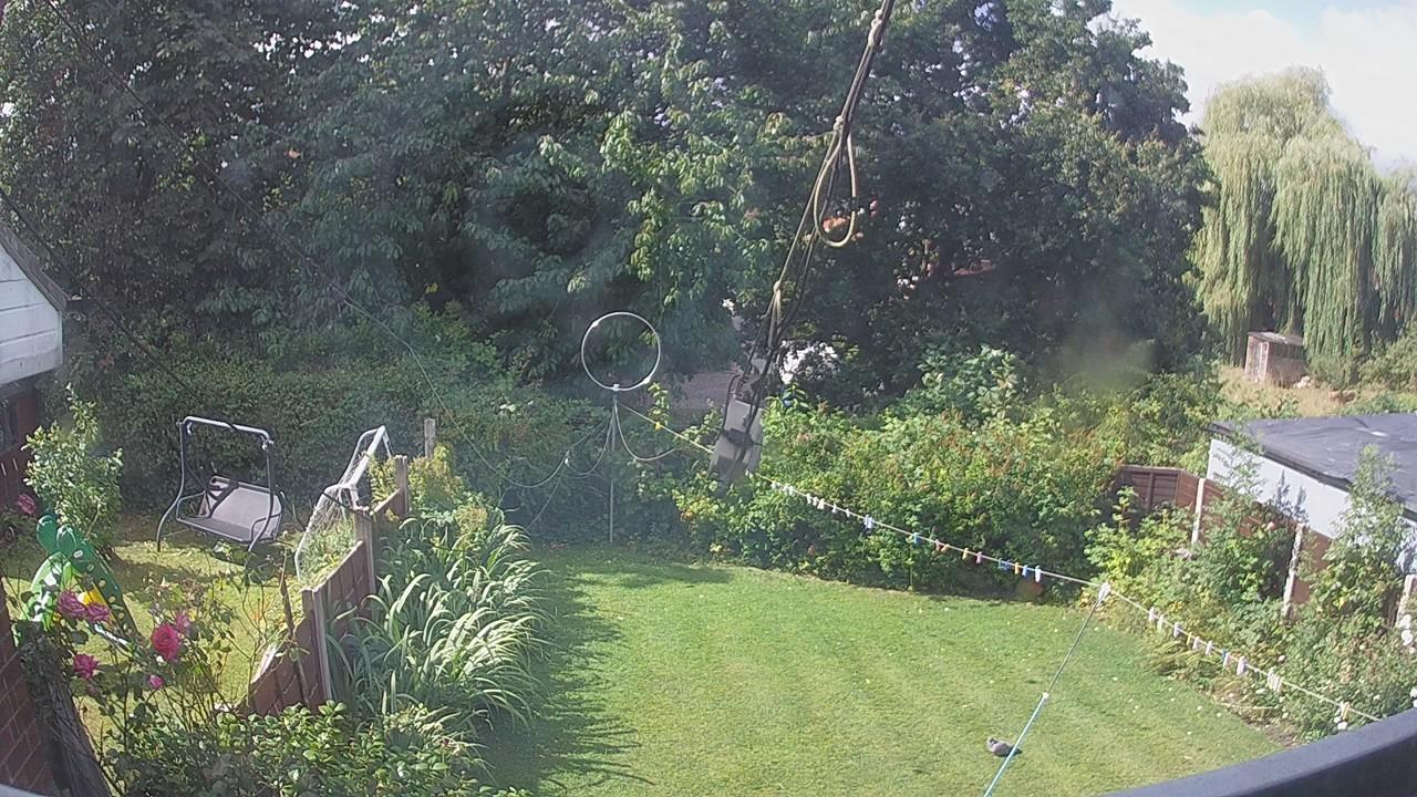 20260806_094305_cam1.jpg