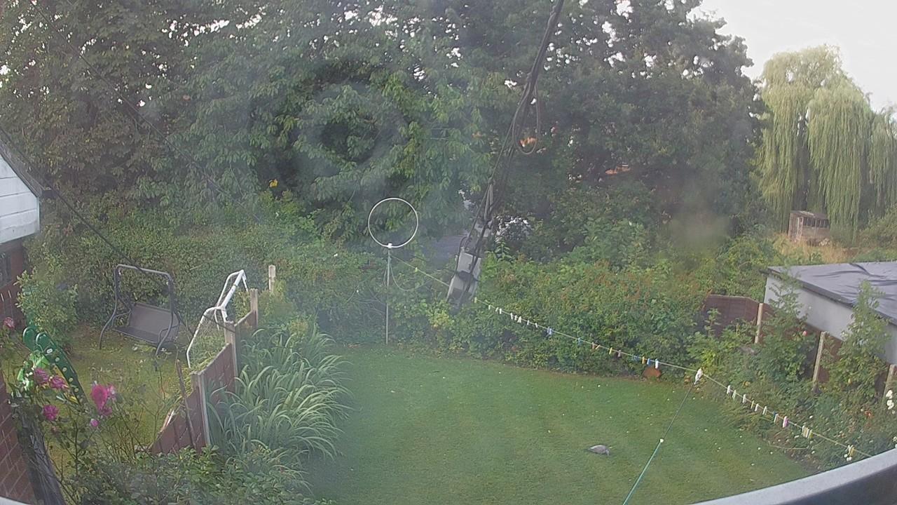 20260806_094629_cam1.jpg