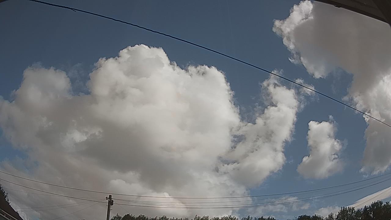 20260806_094631_cam2.jpg