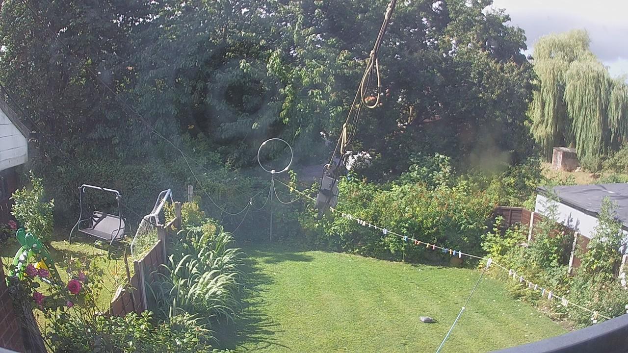 20260806_094954_cam1.jpg