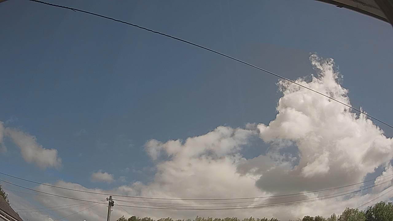20260806_094955_cam2.jpg
