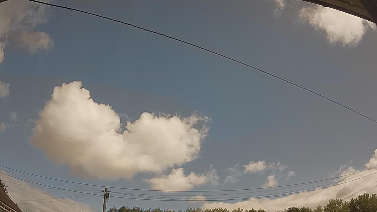 20260806_095644_cam2.jpg