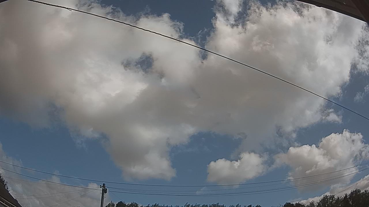 20260806_100238_cam2.jpg