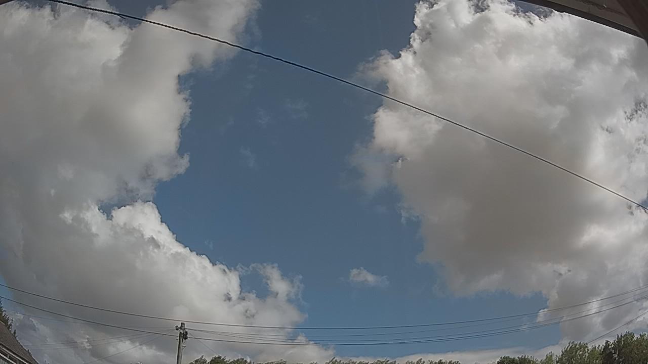 20260806_100834_cam2.jpg