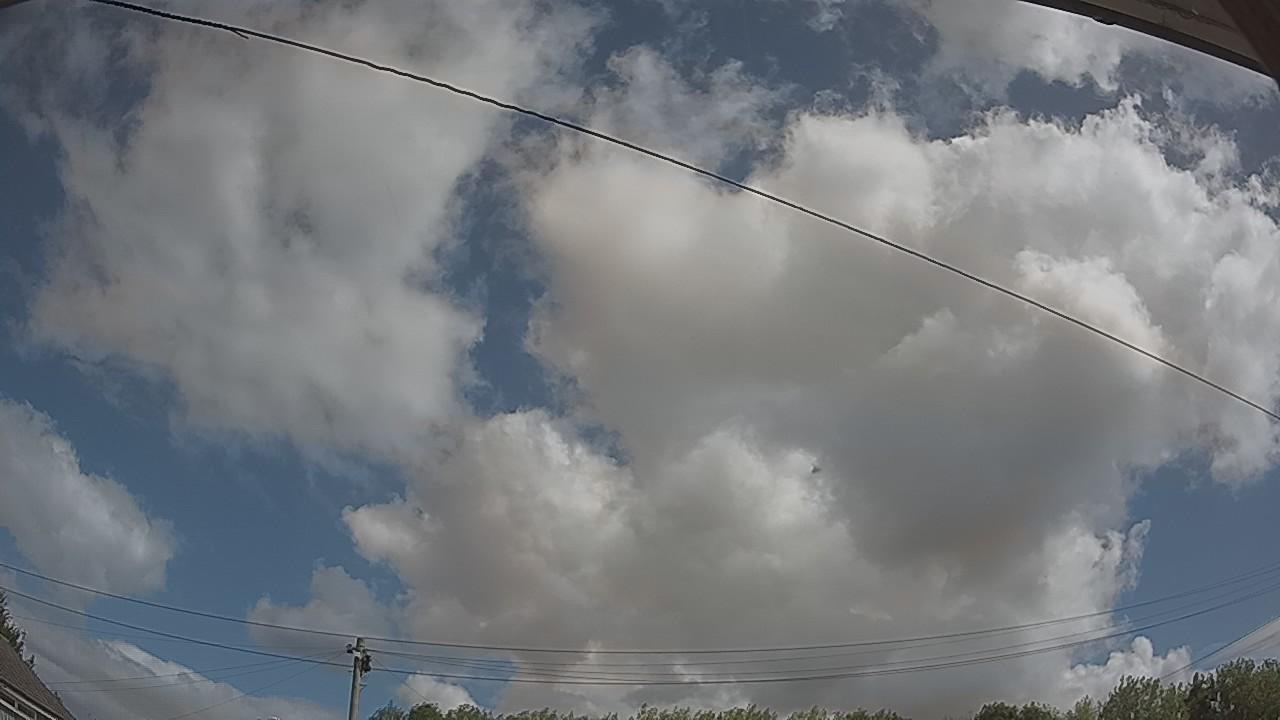 20260806_101428_cam2.jpg